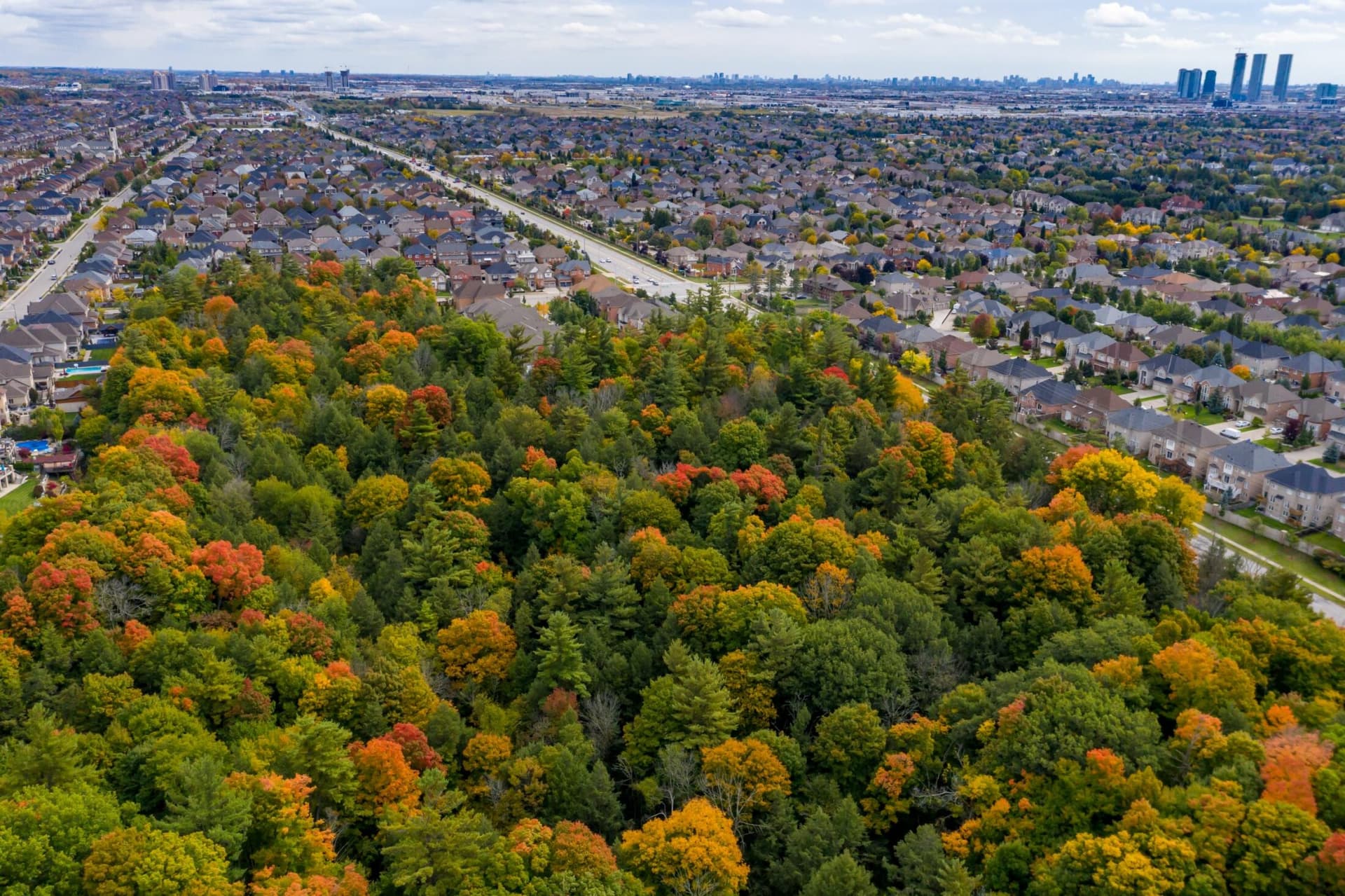 Aerial view of a York Region suburb in autumn — family homes bordering a blaze of fall-coloured forest with the Toronto skyline on the horizon